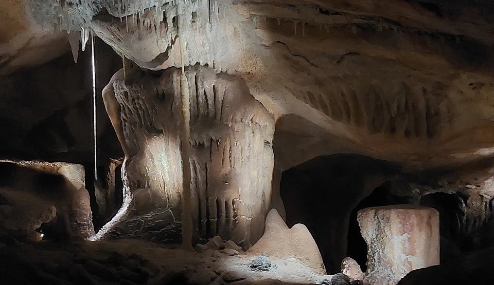 In der Grotte Cosquer und im Bestinarium