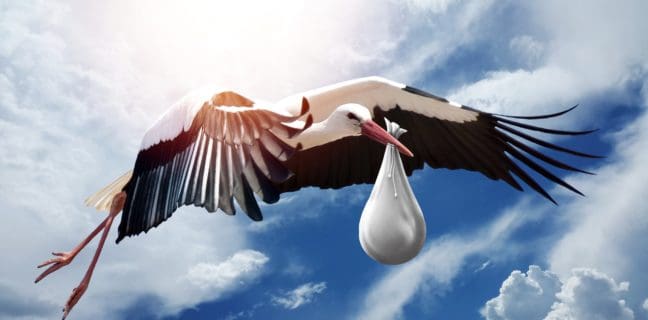 4 Phasen der Geburt 4 Phasen der Geburt