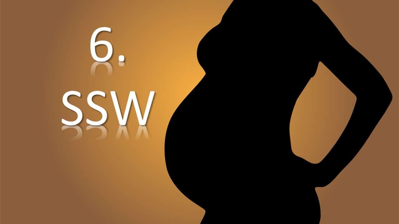 16. SSW -16. Schwangerschaftswoche schwangerschaft schwangere mutter Kind SSW Schwangerschaftswoche