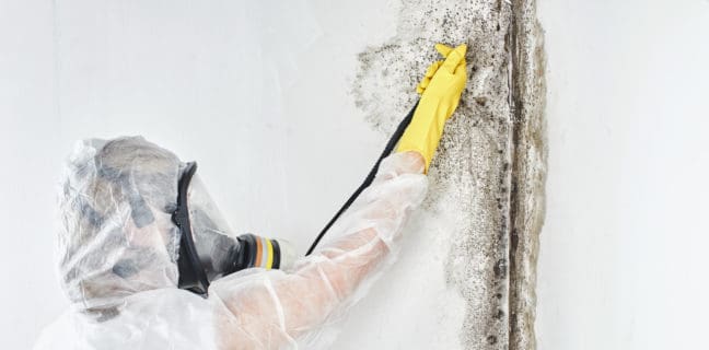 So hat Schimmel keine Chance – Checkliste mit 7 Tipps für ein gesundes Zuhause A professional disinfector in overalls processes the walls from mold. Removal of black fungus in the apartment and house. Aspergillus