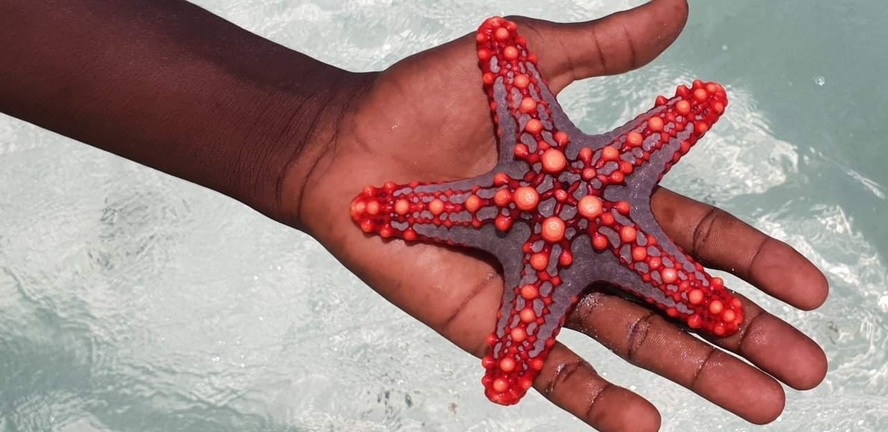 In der Bar auf Sansibar Sansibar - Foto Adeba