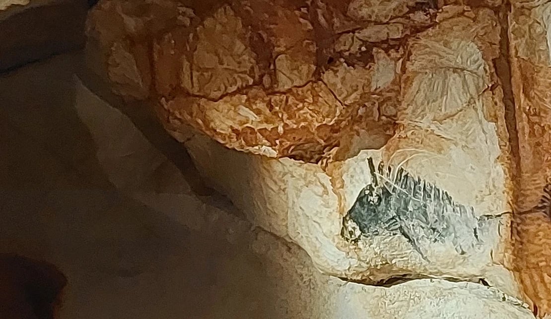 In der Grotte Cosquer und im Bestinarium