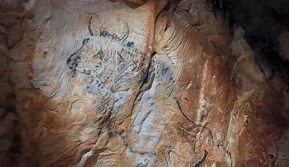 In der Grotte Cosquer und im Bestinarium