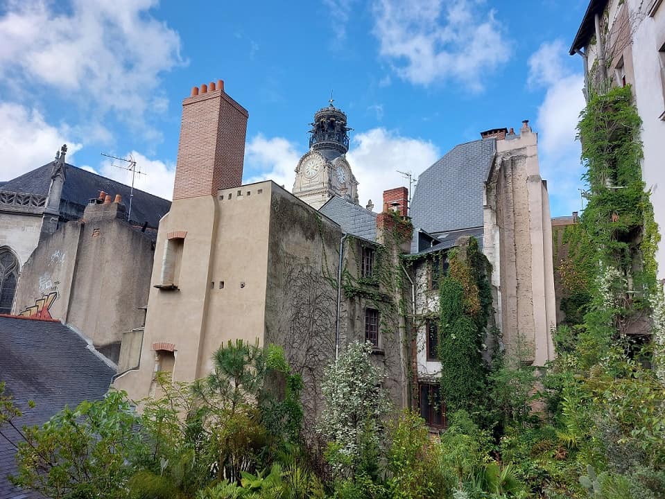 Jungle Interieure, der Indoor-Dschungel, von Evor