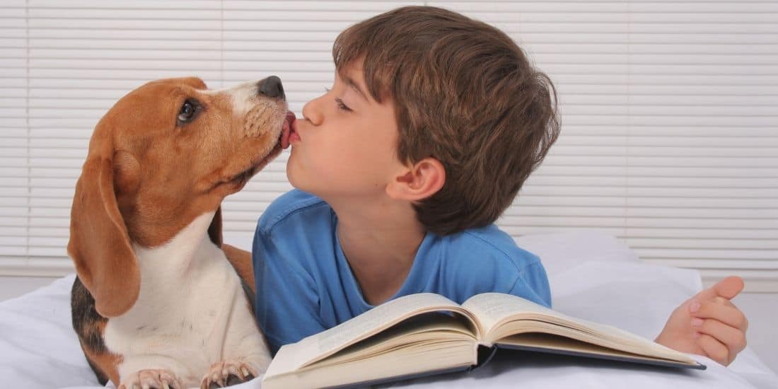 Nur ein Tag der Liebe, warum so wenig? img-23