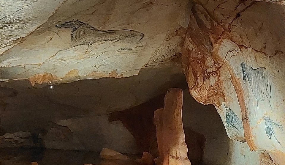 In der Grotte Cosquer und im Bestinarium