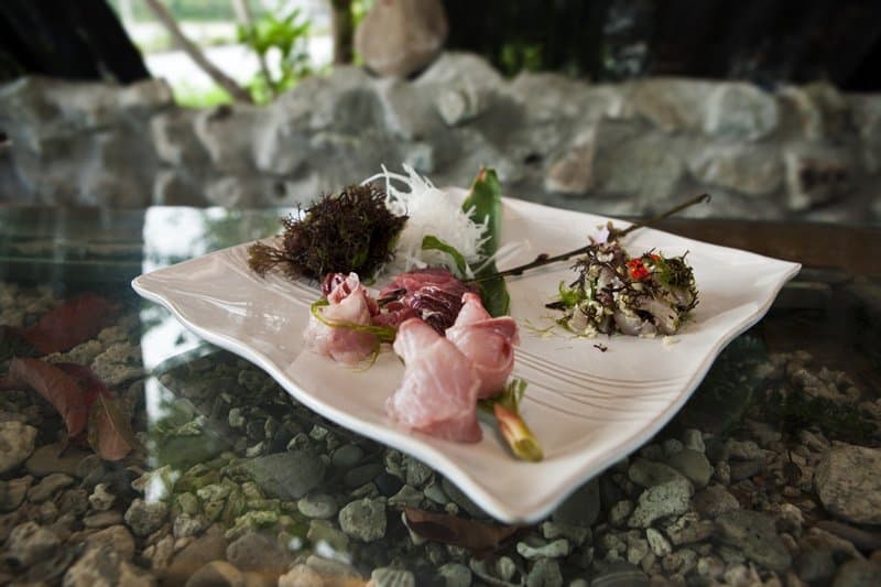 Kulinarische Hochgenüsse Taipeh Tourismusbüro – www.taiwantourismus.de