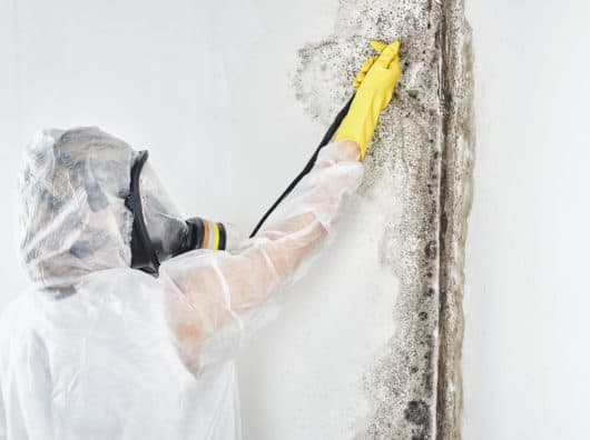 So hat Schimmel keine Chance – Checkliste mit 7 Tipps für ein gesundes Zuhause A professional disinfector in overalls processes the walls from mold. Removal of black fungus in the apartment and house. Aspergillus