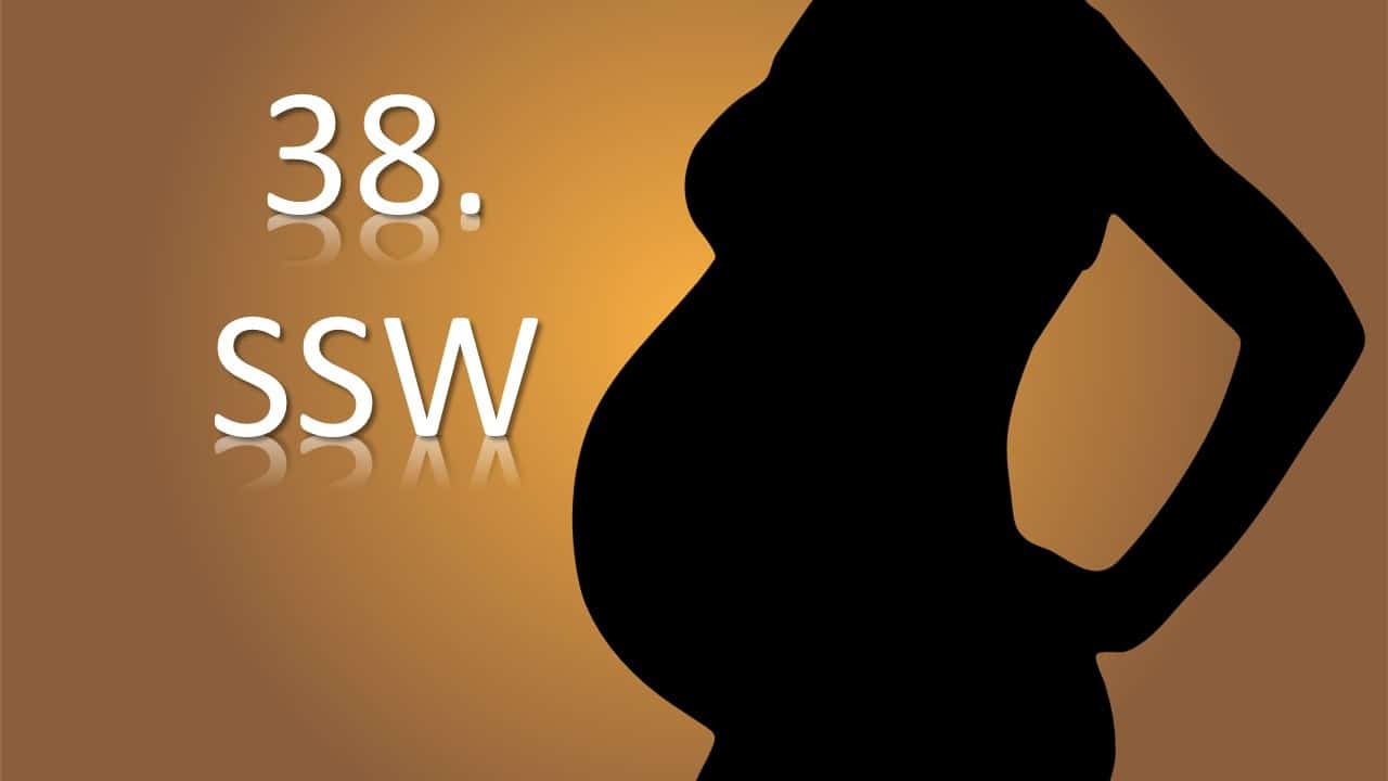 38. SSW – 38. Schwangerschaftswoche schwangerschaft schwangere mutter Kind SSW Schwangerschaftswoche