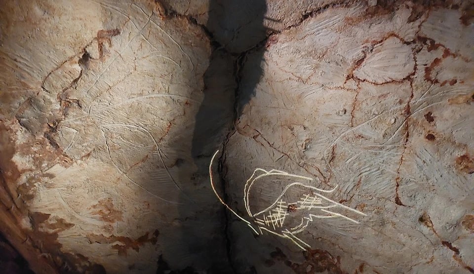 In der Grotte Cosquer und im Bestinarium