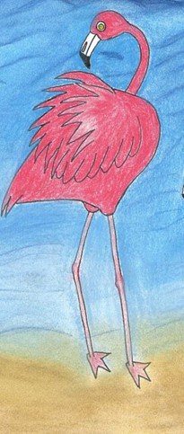 Flamingo Sindbad ist ein Kinderbuch von Harald Schmidt (Autor), Hicham Sadoun und Hafiidha Zitouni (Zeichner) Bildquelle: Autor