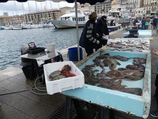 Fisch-Markt am Alten Hafen