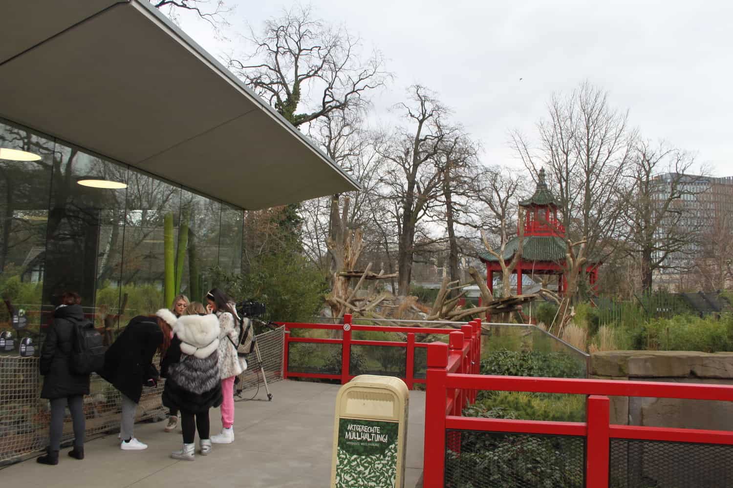 Zoo Berlin Panda Garten