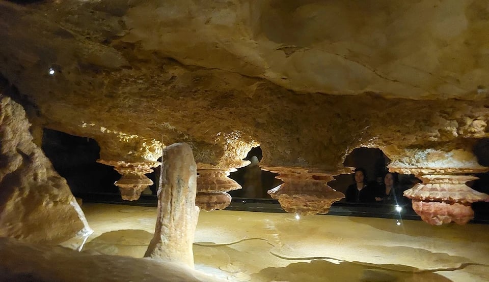 In der Grotte Cosquer und im Bestinarium