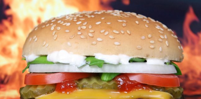 2021: Paradigmenwechsel in der Ernährungswissenschaft hamburger, burger, barbeque