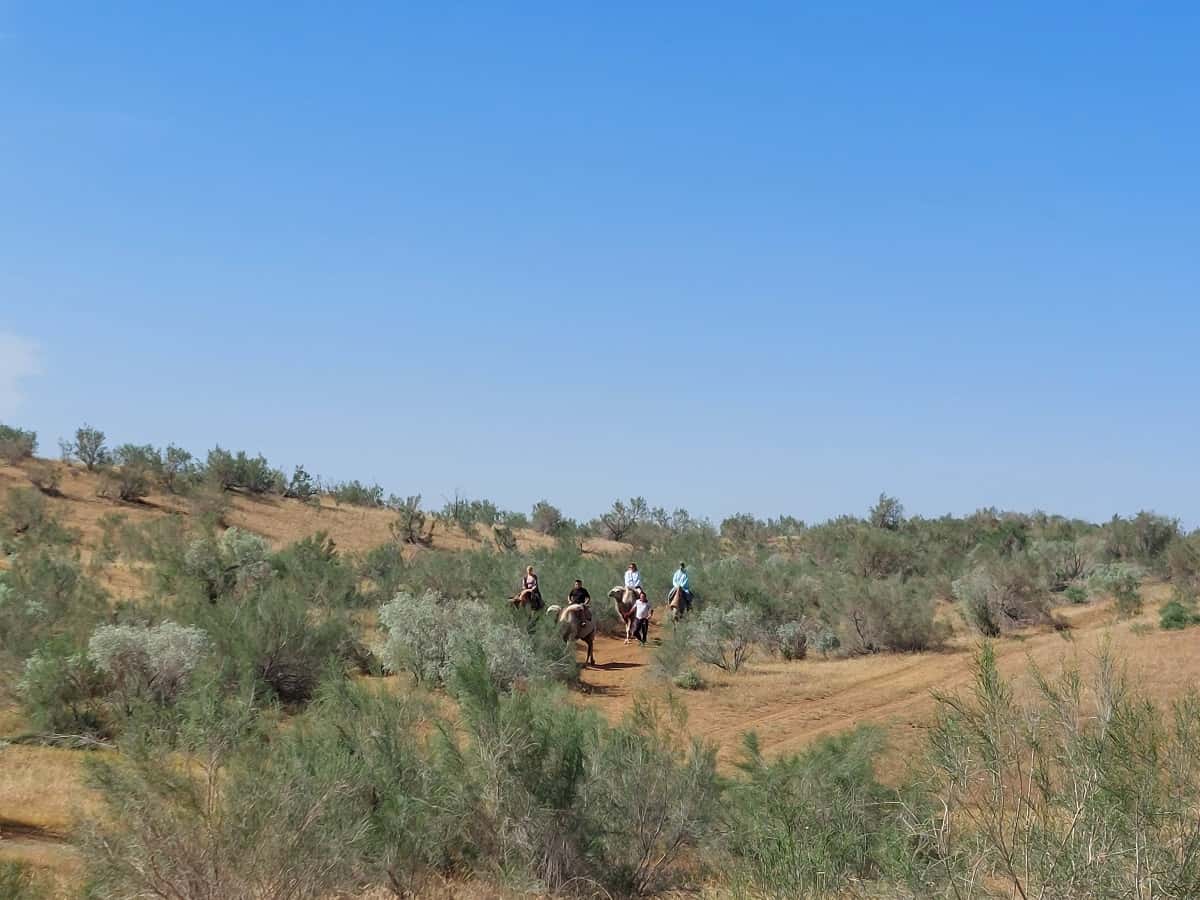 Auf dem Kamel.
Reise entlang der Seidenstraße
Foto: Dr. Ronald Keusch durch die Wüste