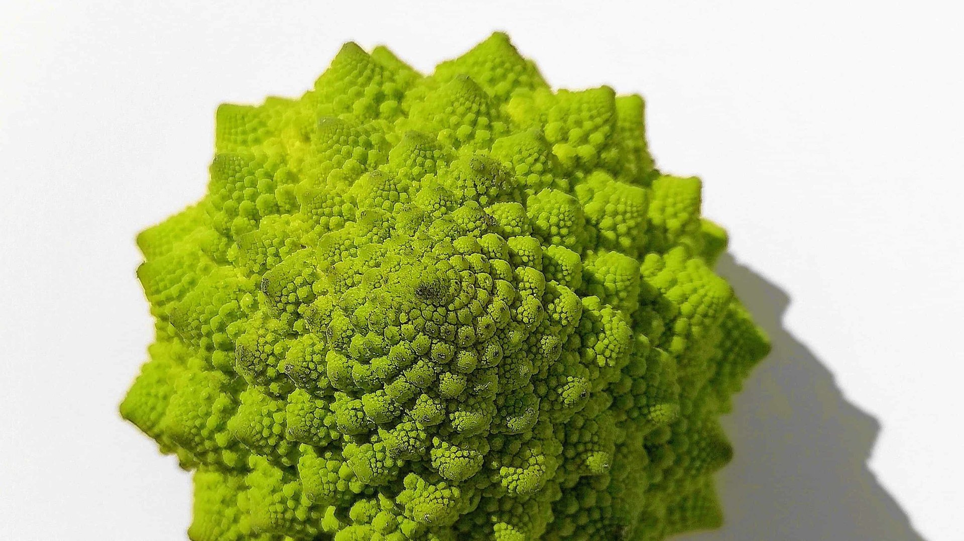 Eltern wegen veganer Ernährung des Kindes verurteilt img-23