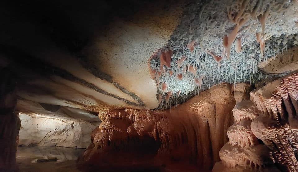 In der Grotte Cosquer und im Bestinarium