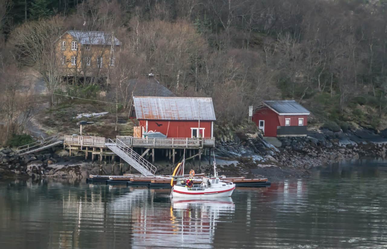 Verdienen, wo andere Urlaub machen Norwegen Küstenlinie Wasser Reflexion Rotes Haus