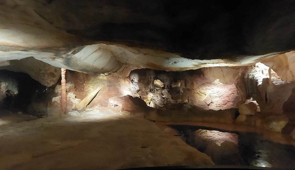 In der Grotte Cosquer und im Bestinarium