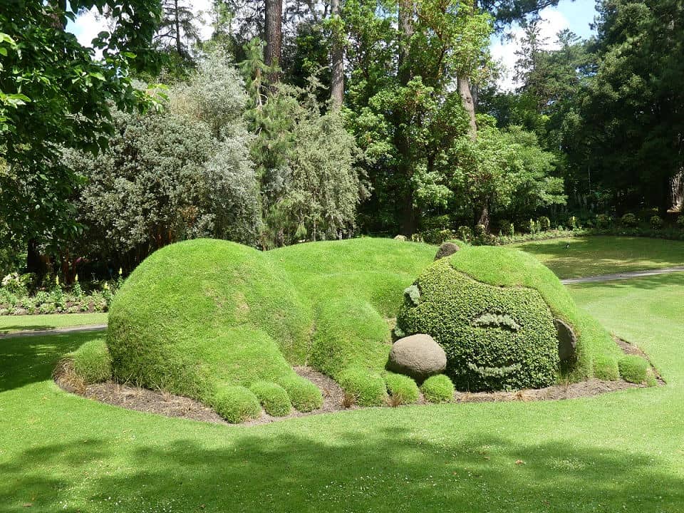 Das schlafende Tier Dormanron von Claude Ponti