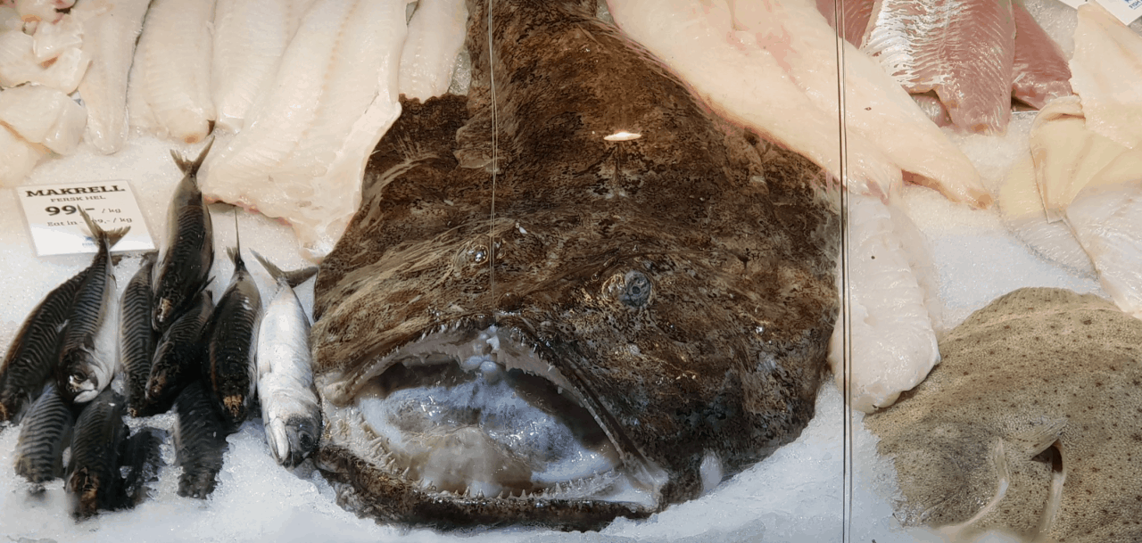 Fischmarkt: Natürliche Jodvorkommen in Speisen