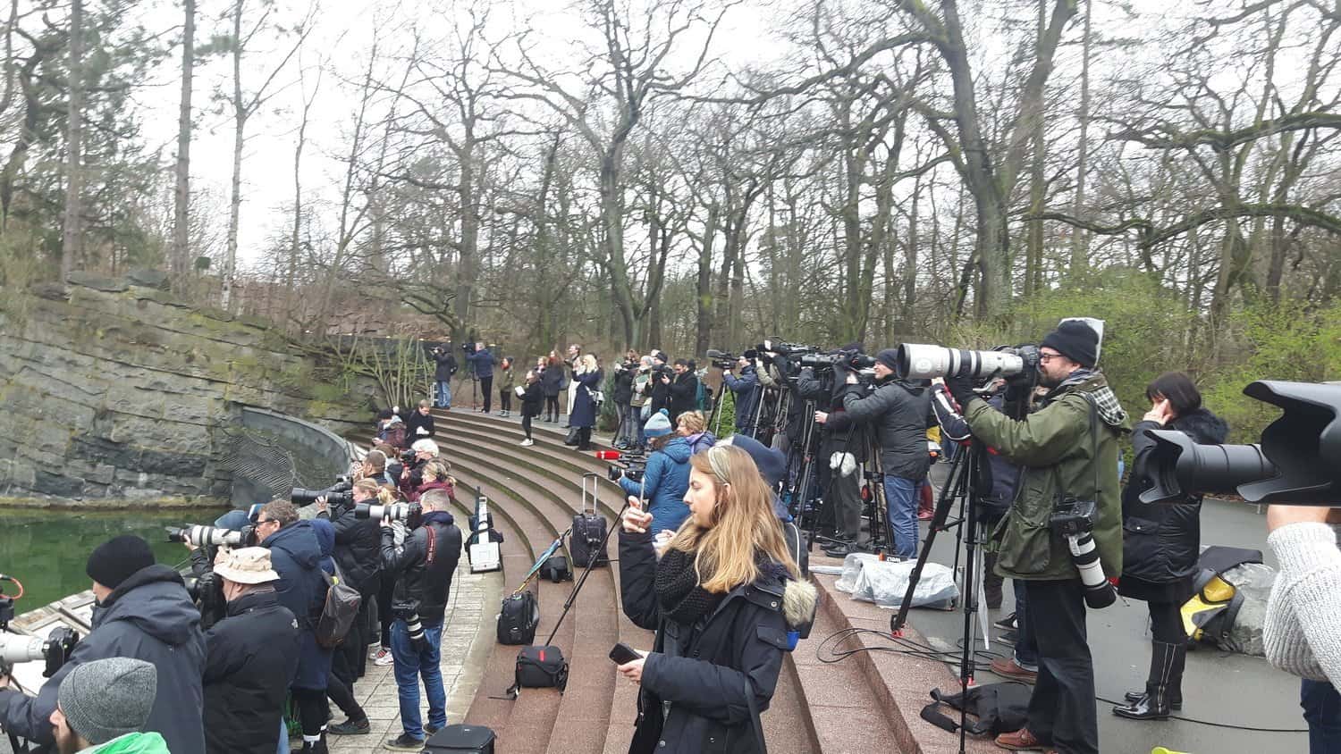 Medien vor der Eisbärenanlage Tierpark Berlin (Foto: Hans-Peter Gaul). Eisbärbaby Berlin.