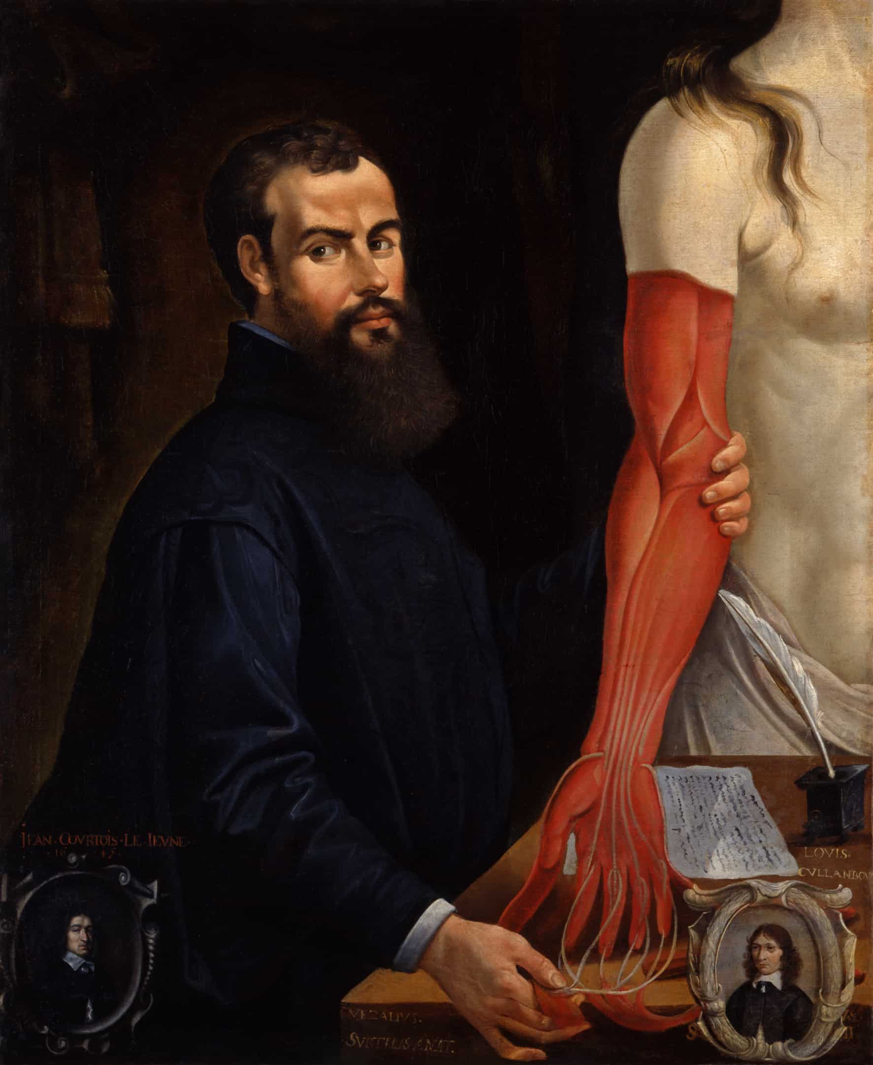 Pierre Poncet II: Bildnis des Anatomen Andreas Vesal