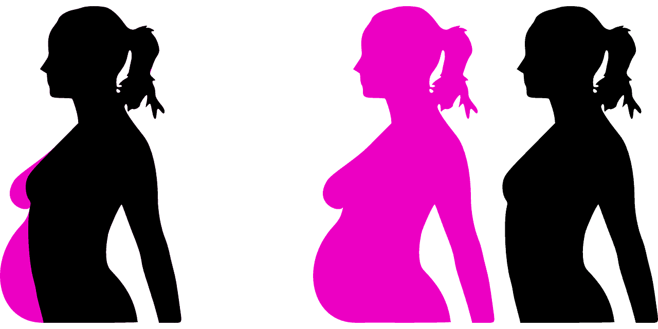 schwangerschaft reproduktion monate profil dame