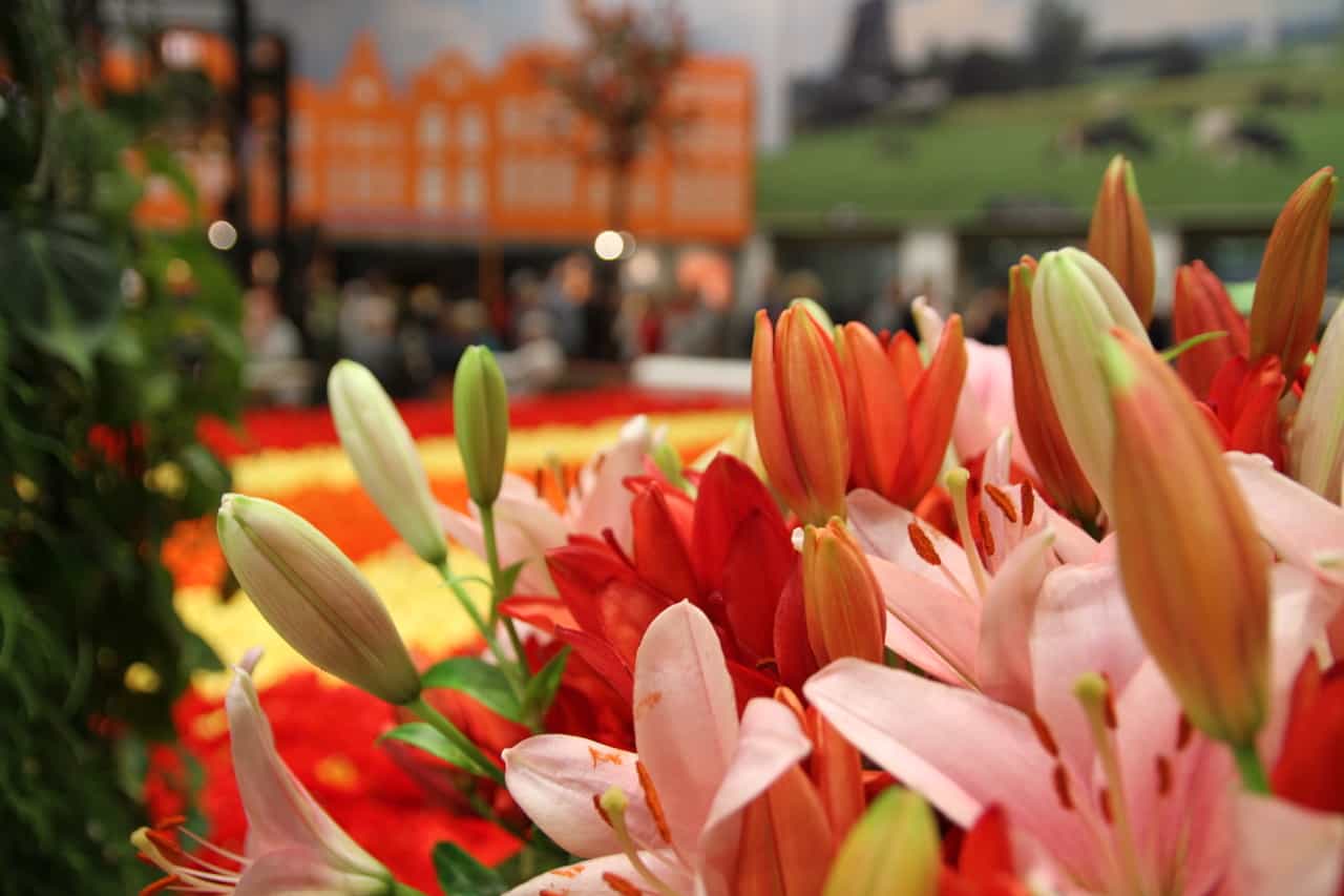 Blumenhalle Grüne Woche