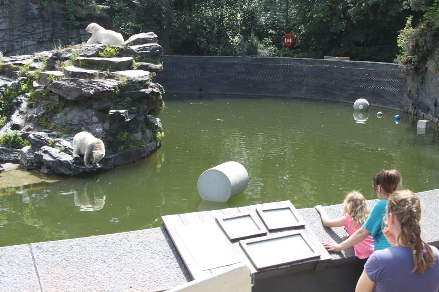 Tierpark Berlin (Eisbären-Anlage mit Hertha)