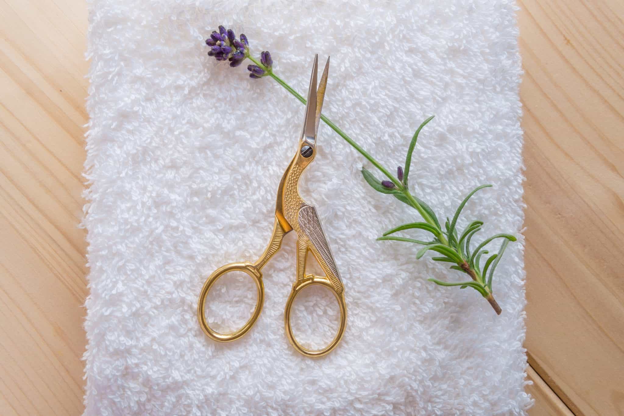 Berufsbild der Hebamme, schere, storchschere, nabelklemme