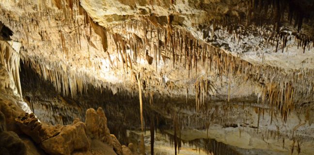 Cuevas del Drach, Porto Cristo cuevas del drach, mallorca, balearen