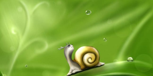 Zeichen der Fruchtbarkeit – Zervixschleim richtig deuten Zervixschleim