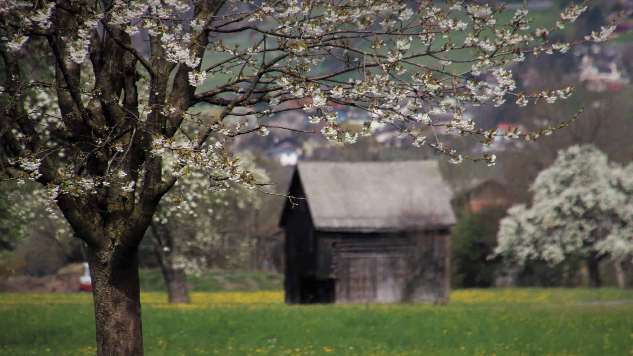 Ferienhaus mieten, unbedingt den Anbieter überprüfen