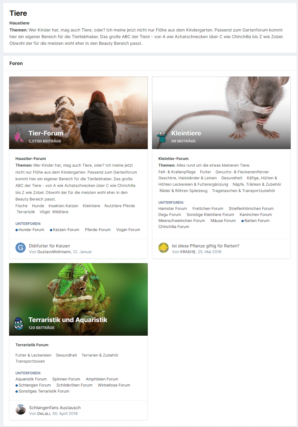 Haustierforum Hunde im Büro?