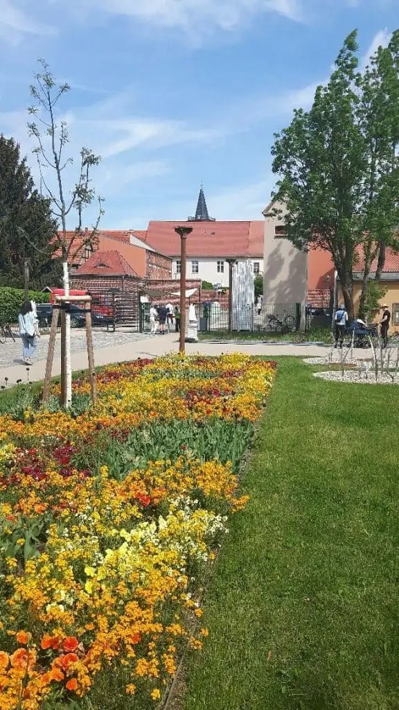 Blick vom LAGA-Areal zur Historischen Beelitzer Altstadt