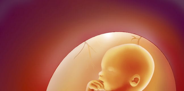 Cord Blood Banking: What Parents Need to Know Placing the fetus