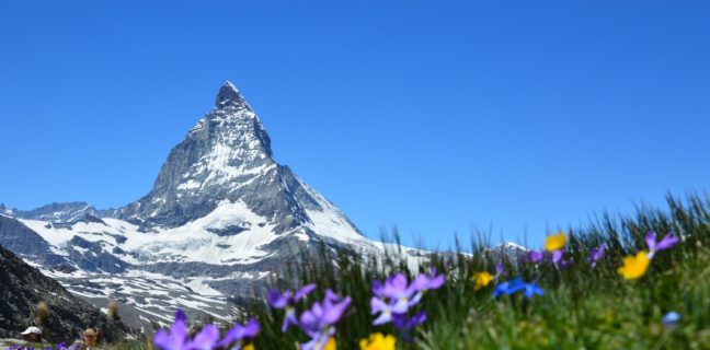 6 Things You Need To Know About Health Tourism In Switzerland Swiss health tourism, berge, schnee, blumen