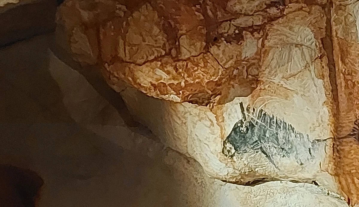 In der Grotte Cosquer und im Bestinarium