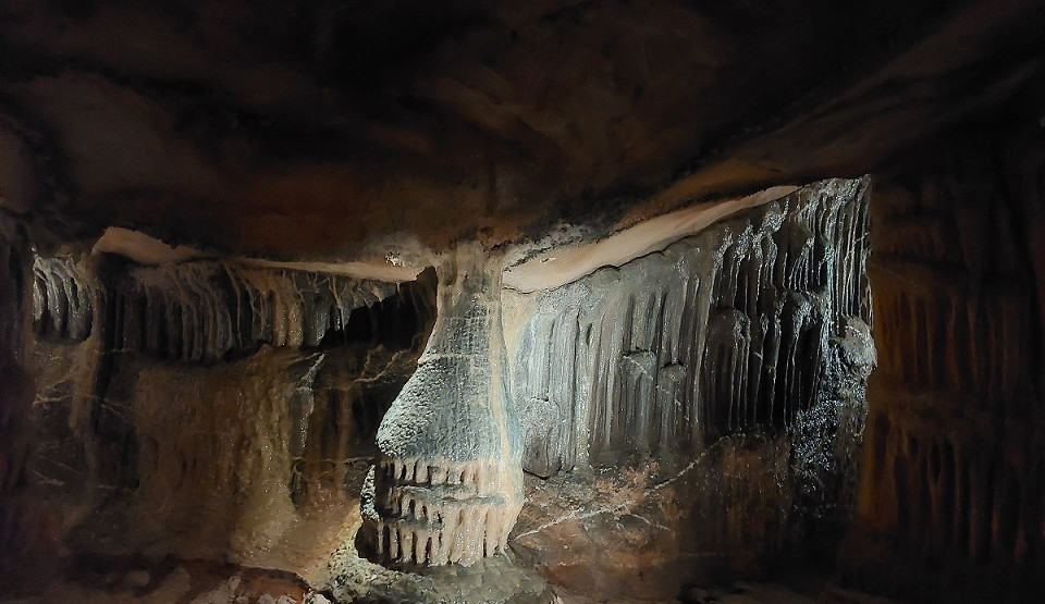 In der Grotte Cosquer und im Bestinarium