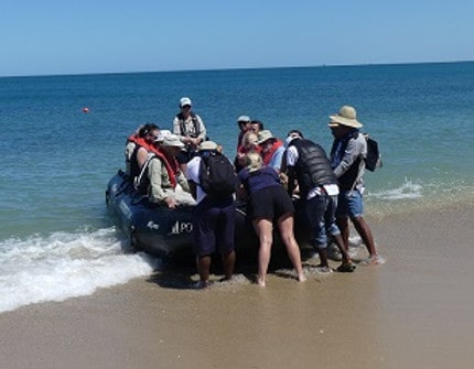 Nasse Landung mit dem Zodiac-Boot