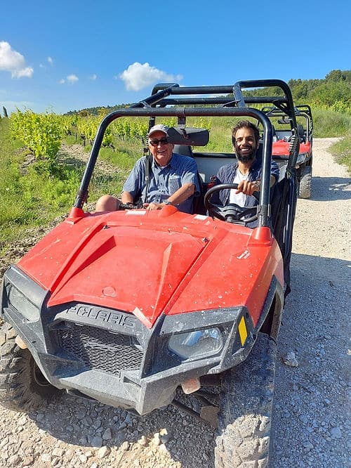 Mit dem Buggy durch die Weinfelder