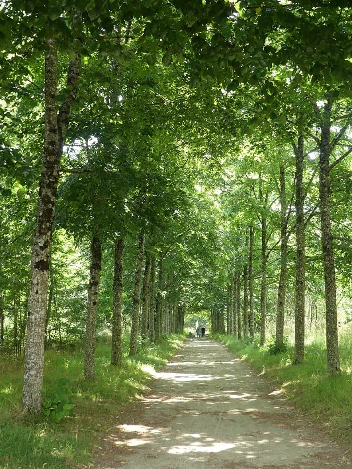 Baum-Allee Die Diane-Bäder