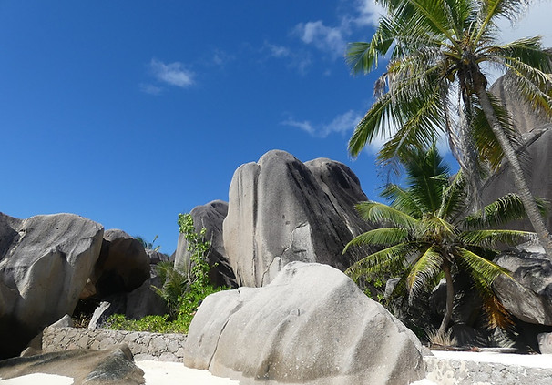 Anlage zur Kokos-Öl-Herstellung