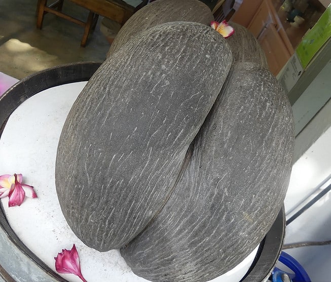 Der Clock Tower, das Wahrzeichen von Victoria, steht in der Mitte von einem Kreisverkehr