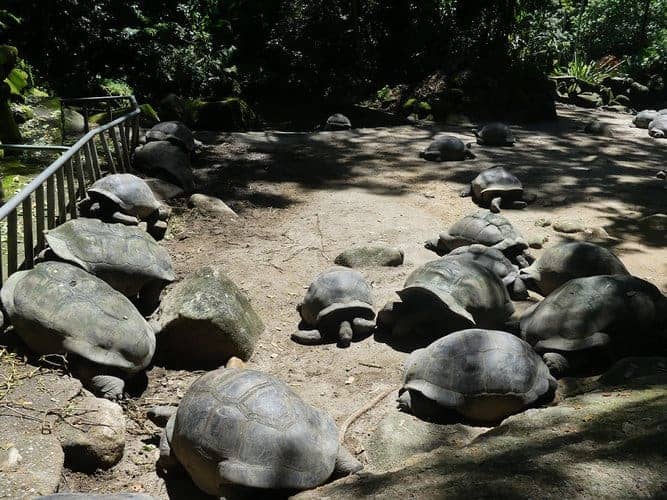 Naturpfad der Destillerie