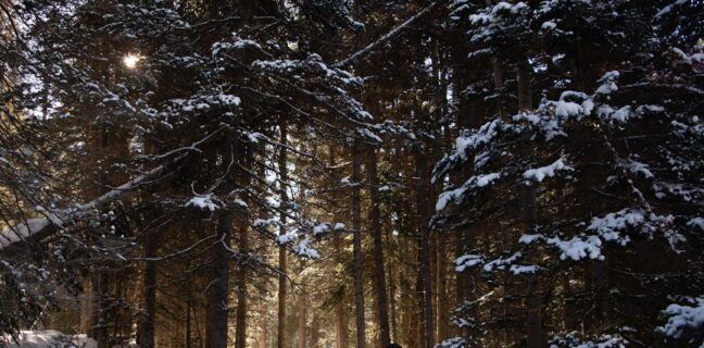 Erlebe unvergessliche Familienabenteuer in Deutschland! Photo Family hiking