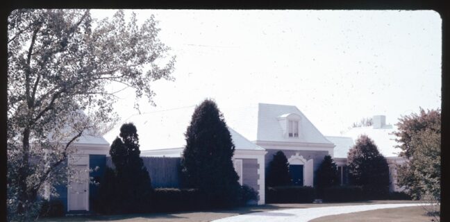 Wie oft solltest du deinen Mutterpass während der Schwangerschaft kontrollieren? Photo Ultrasound scan