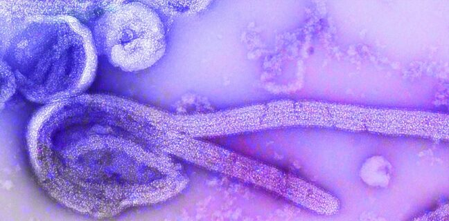 Alles, was du über Geschlechtskrankheiten wissen musst Photo Medical illustration